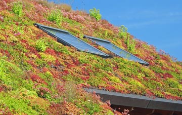 Stanhill living roof systems